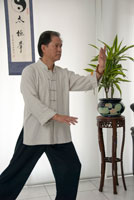 Tai Chi Chuen (Faust)